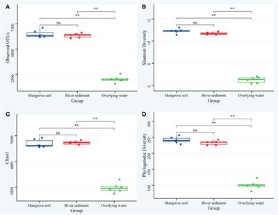 Differential patterns and assembly processes of bacterial communities from distinct microhabitats in a subtropical estuary